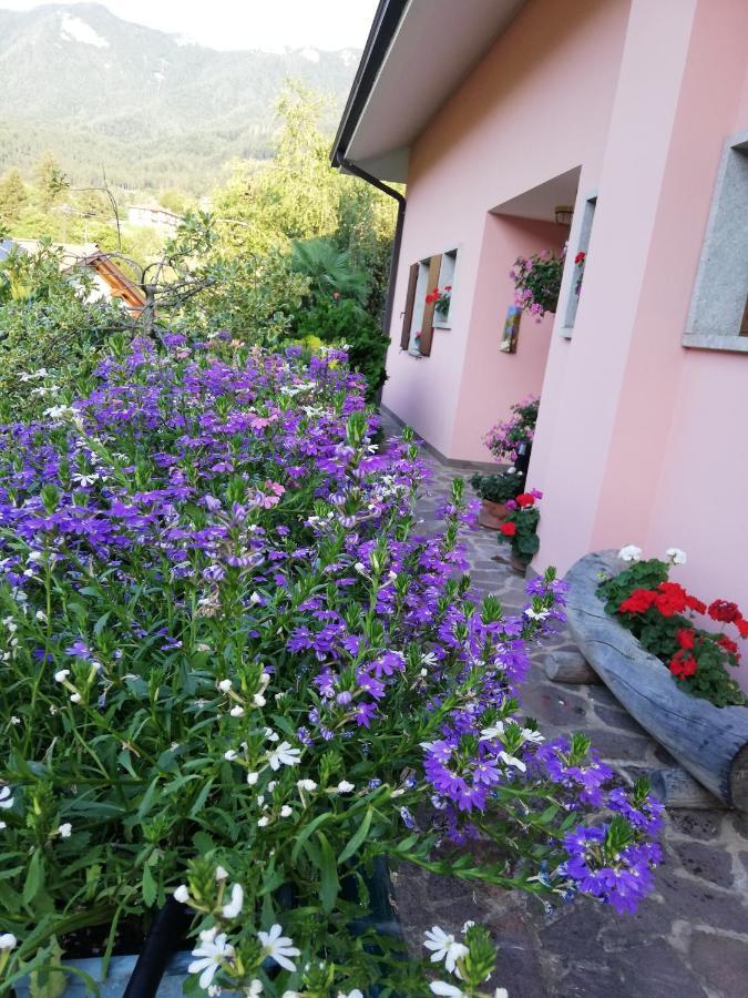 El Campizol Apartment Drena Екстериор снимка