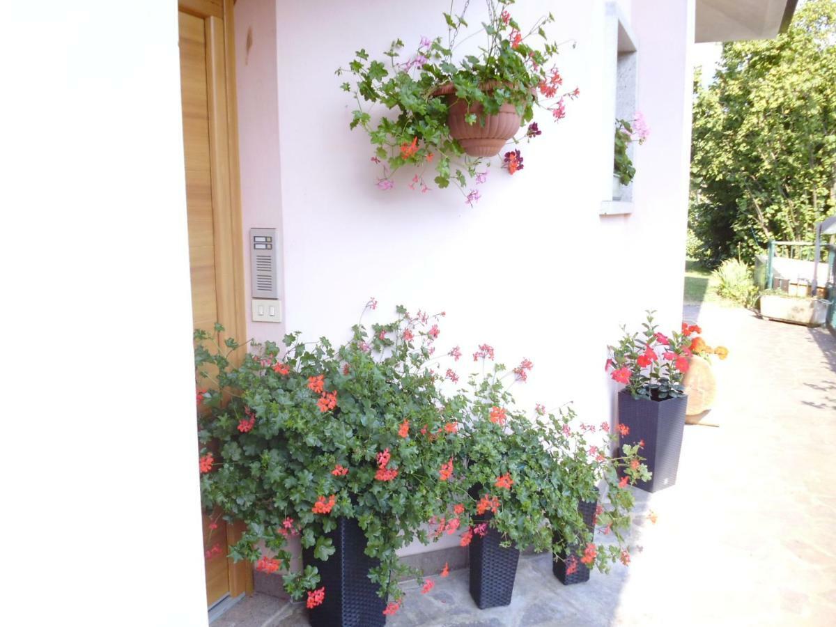 El Campizol Apartment Drena Екстериор снимка